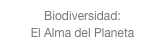 Biodiversidad:
El Alma del Planeta